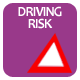 Driving Risk